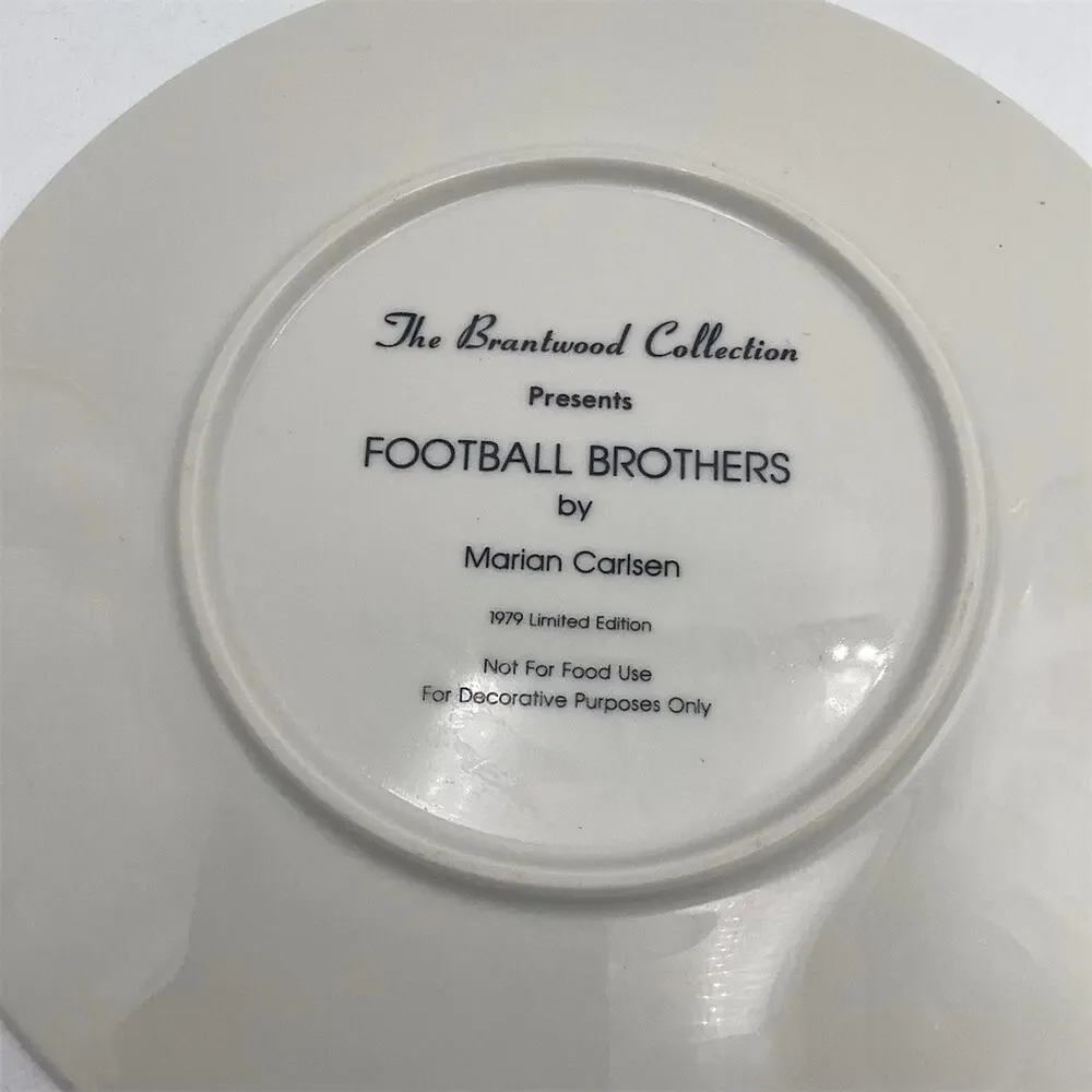 Brantwood Football Brothers Collector Plate Multicolor 8in Vintage 1979‎